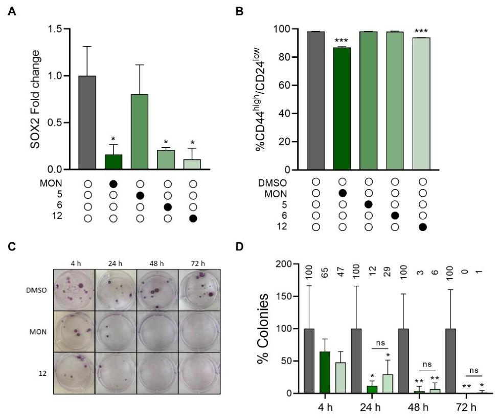 图 5：干细胞标志物表达与集落形成