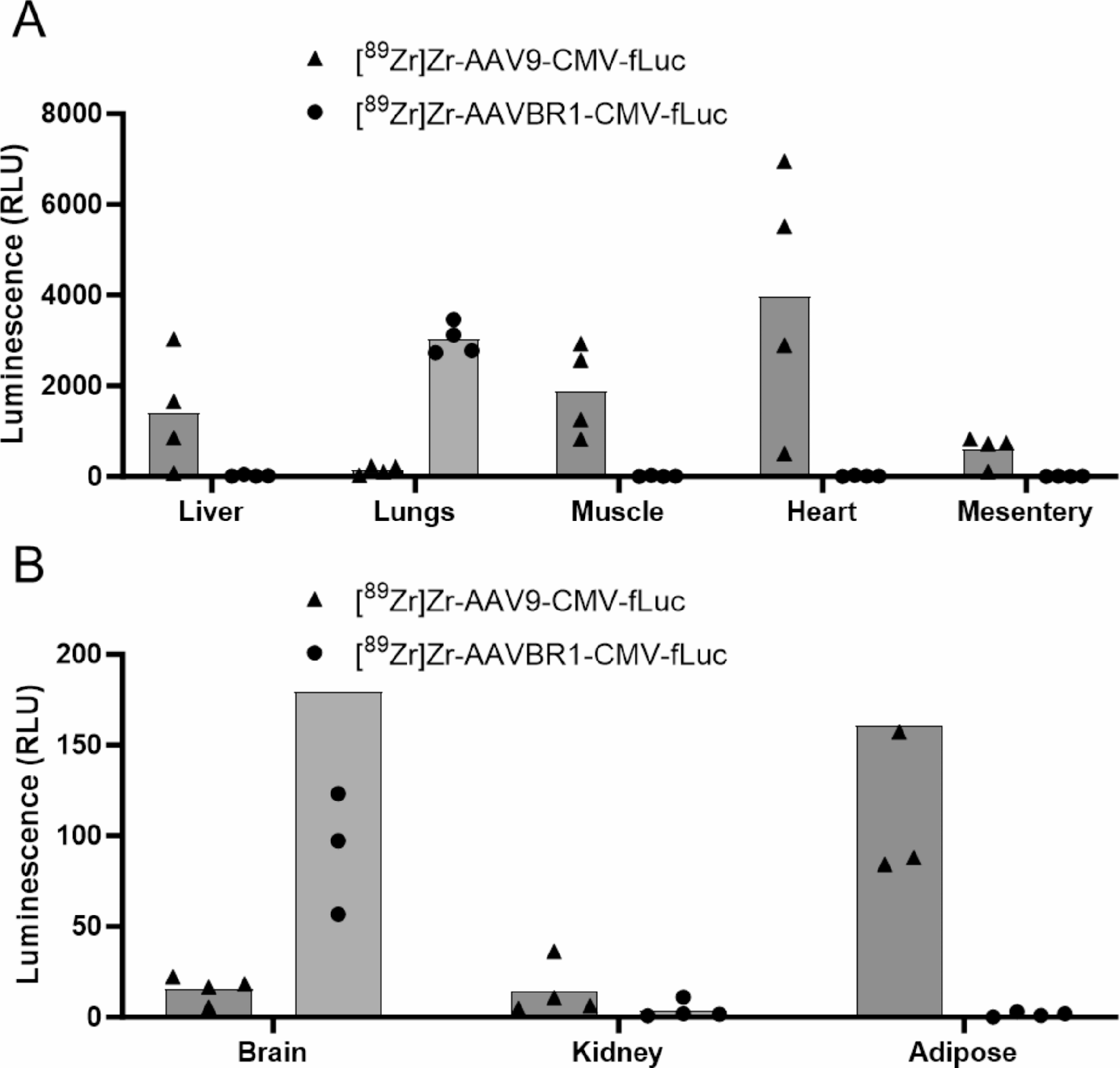 图 8-10：生物发光成像验证感染效率