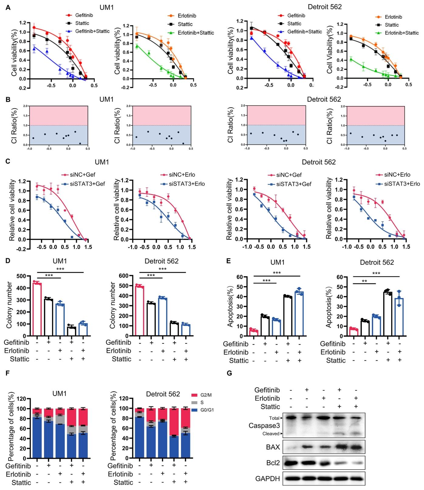 图 3：靶向 STAT3 可逆转 EGFR-TKI 耐药