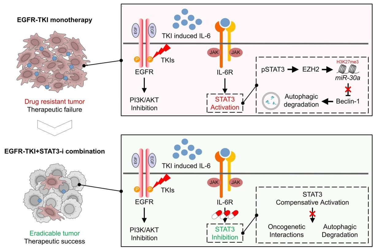 图 9：机制示意图