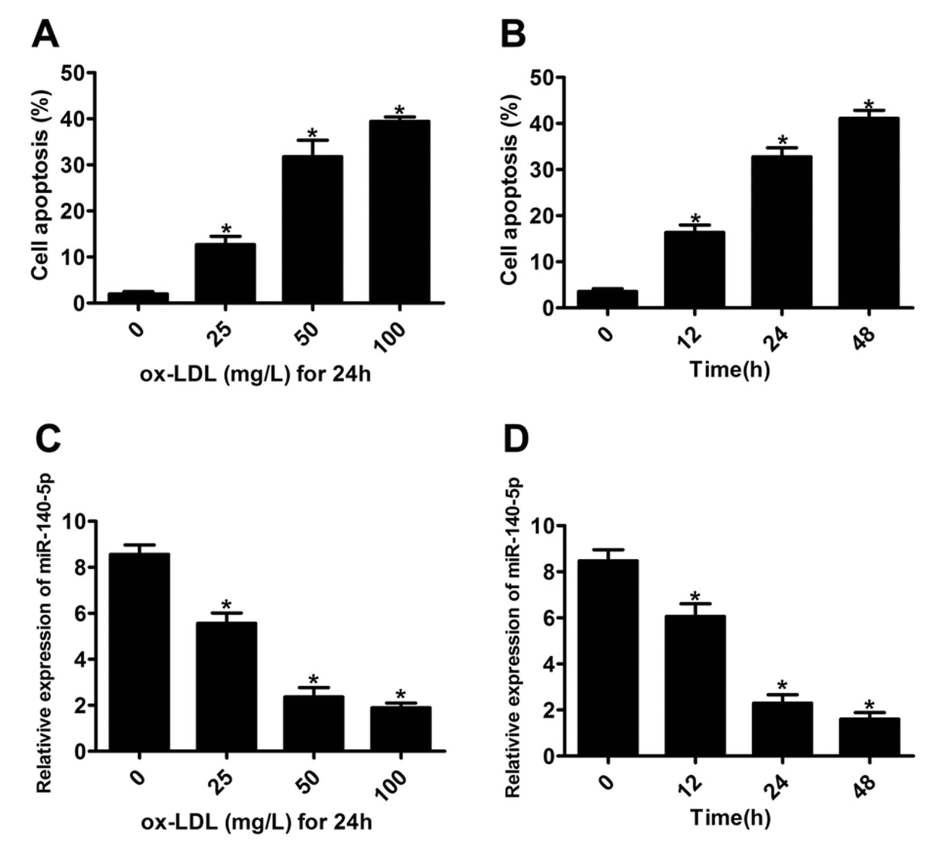 图 1：ox-LDL 诱导 THP-1 巨噬细胞凋亡并下调 miR-140-5p 表达