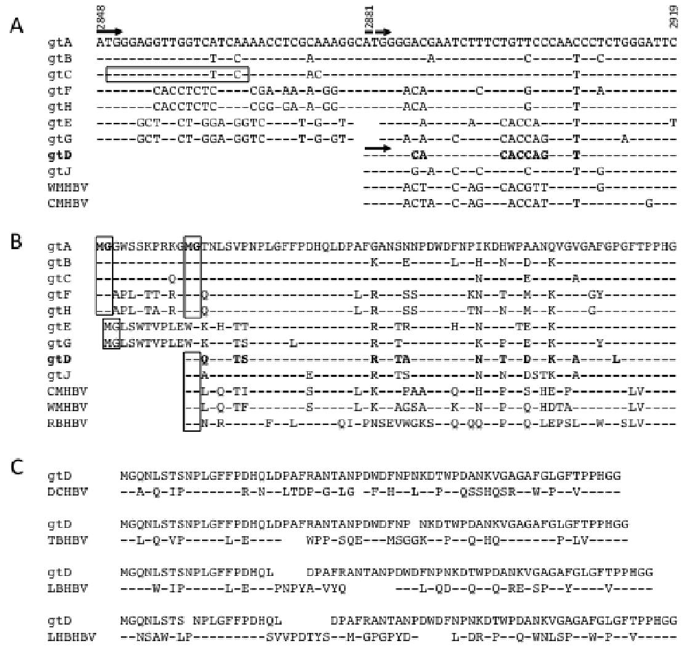 图 1：HBV preS1 序列比对与祖先型分析