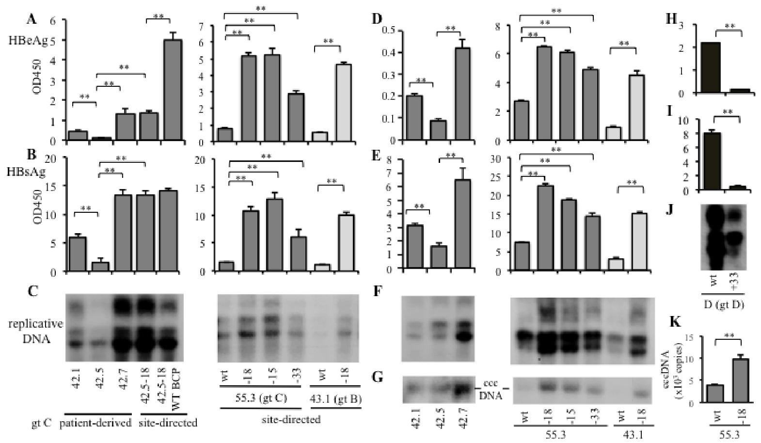 图 2：preS1 缺失增强 HBV 感染性