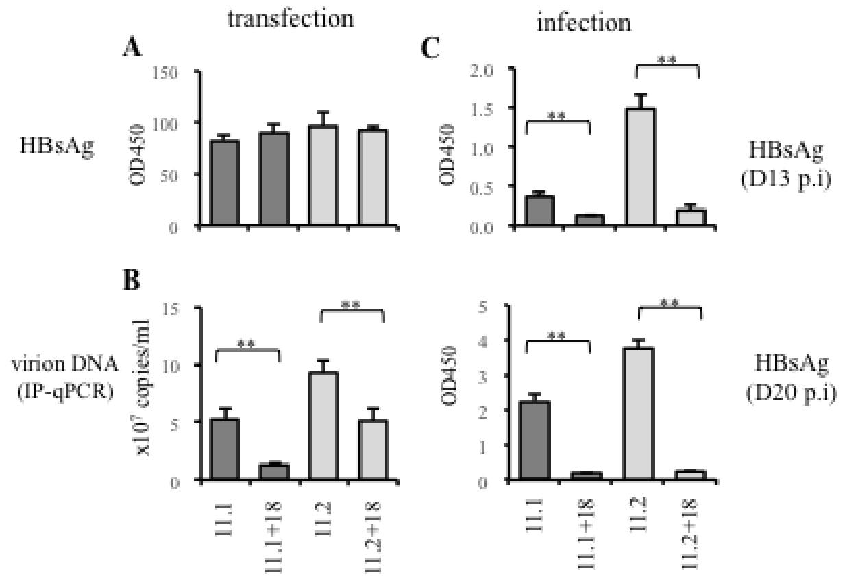 图 5：回补 preS1 缺失降低病毒感染性