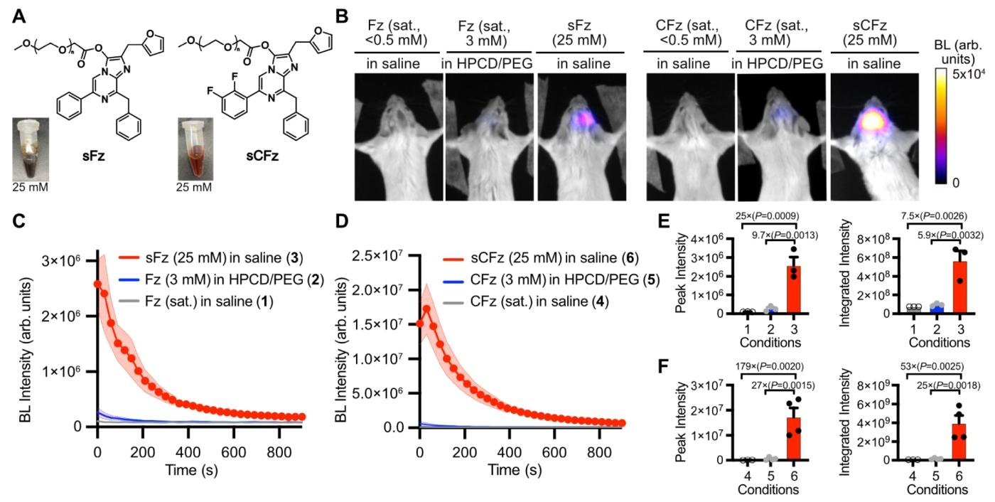 图 3：sFz 与 sCFz 的脑部成像验证