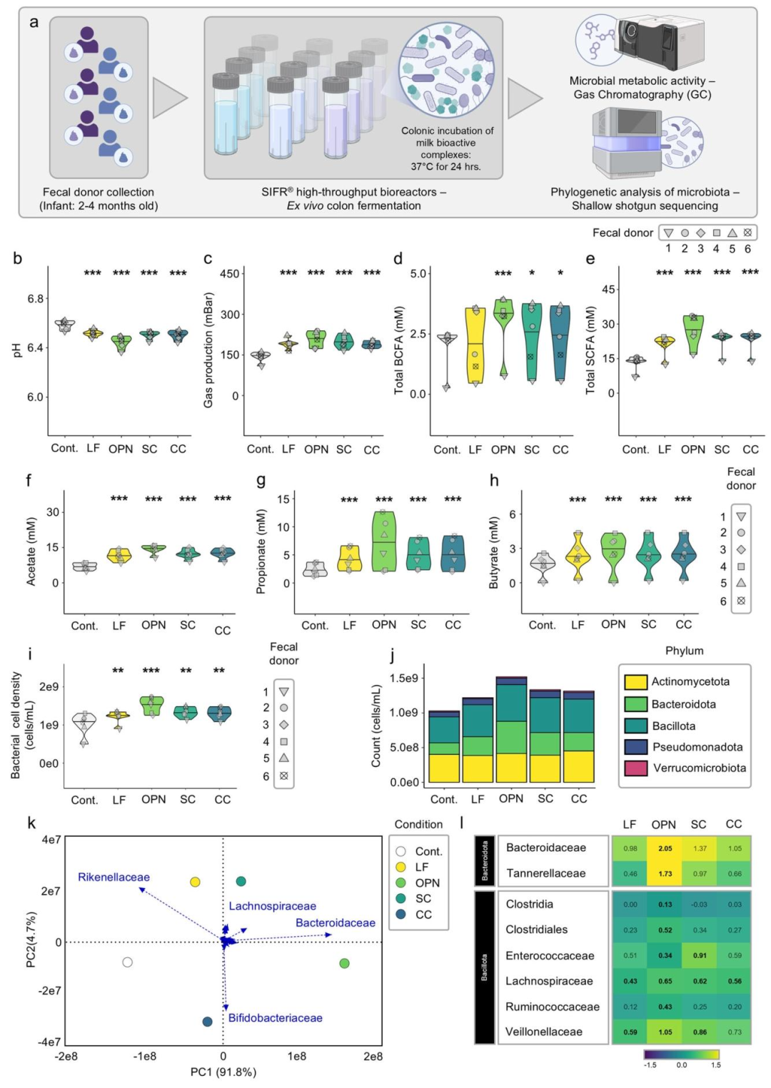 图 3：复合物对婴儿肠道菌群代谢和组成的影响