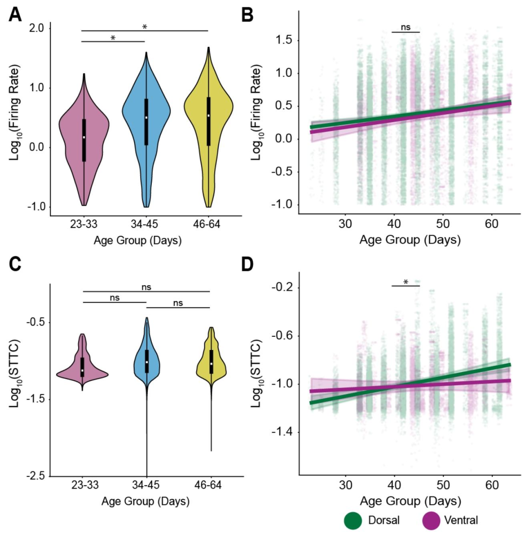 图 5：背侧与腹侧前脑类器官的网络动态差异