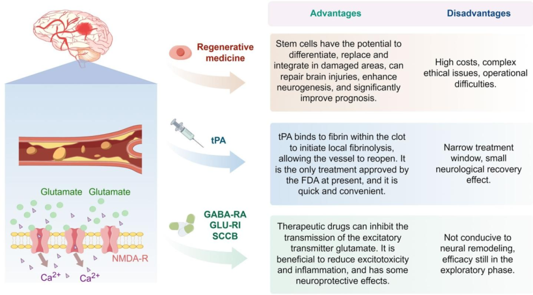 图 2:缺血性中风不同治疗策略的比较