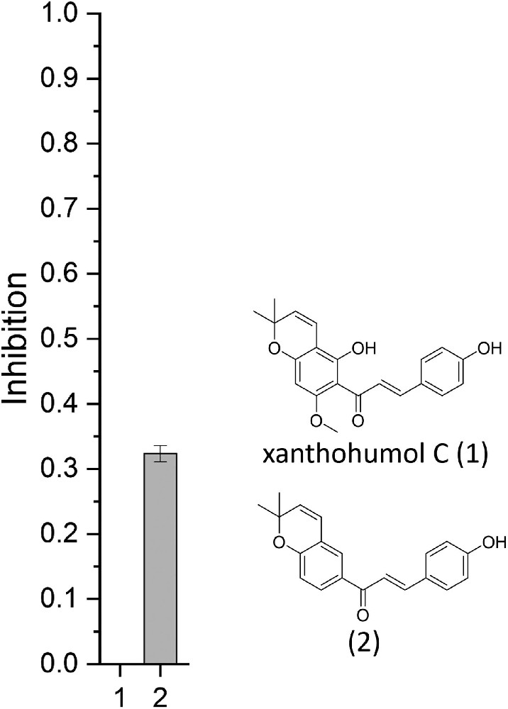 图 1：黄腐酚 C 与化合物 2 的 FLuc 抑制对比