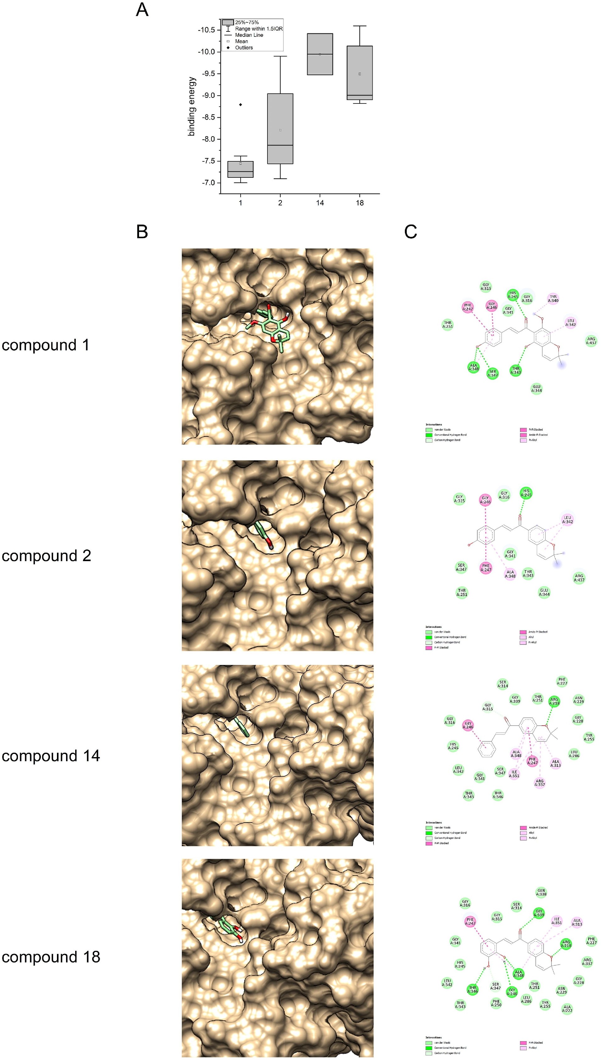 图 5：分子对接分析