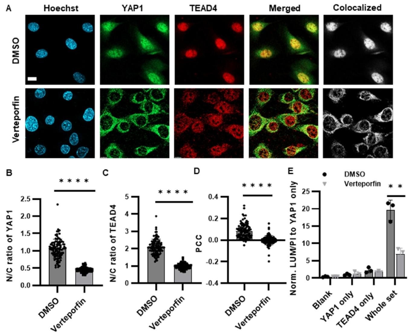 图 4:PPI 抑制剂筛选与细胞类型差异分析