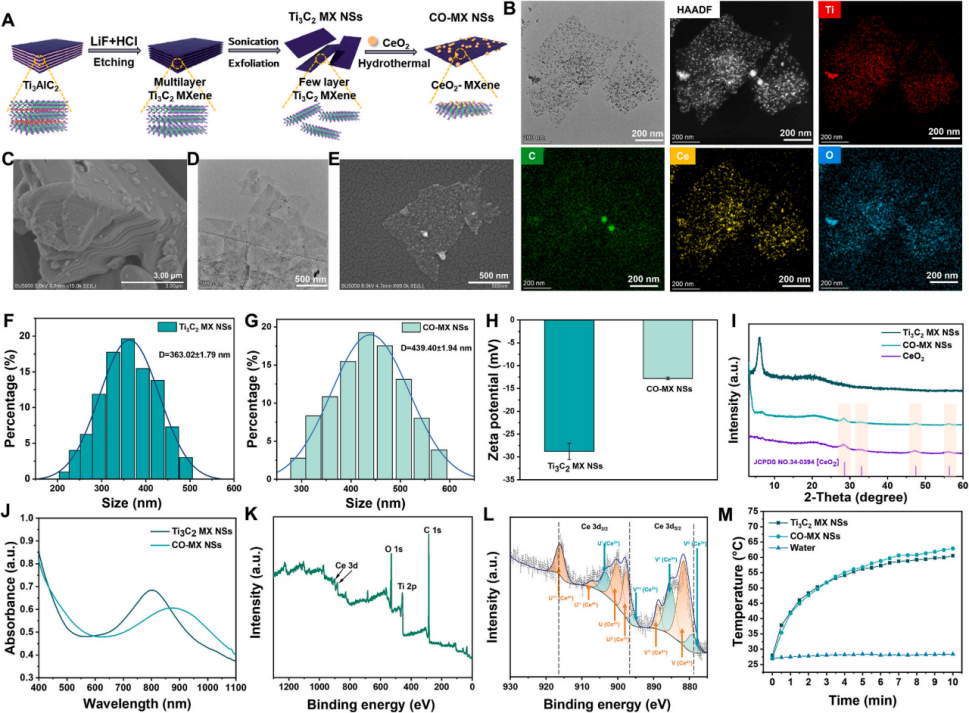 图1. CO-MX NSs的制备与表征