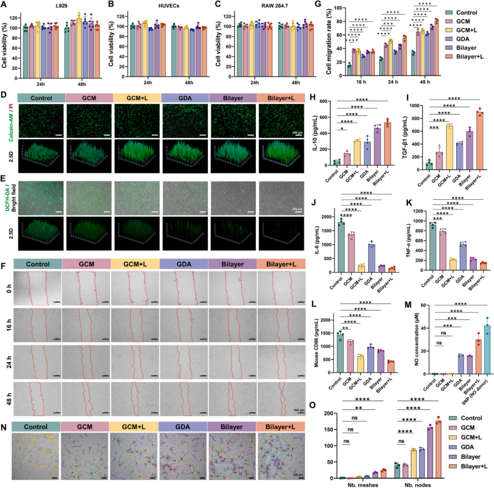 图5. 生物相容性、抗氧化、促血管生成与抗炎效果