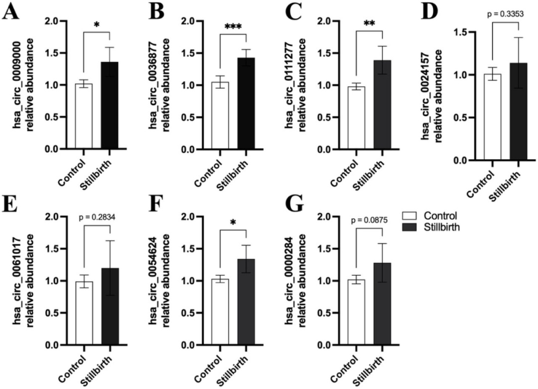 图5：circRNA 介导胎盘早衰的机制模型