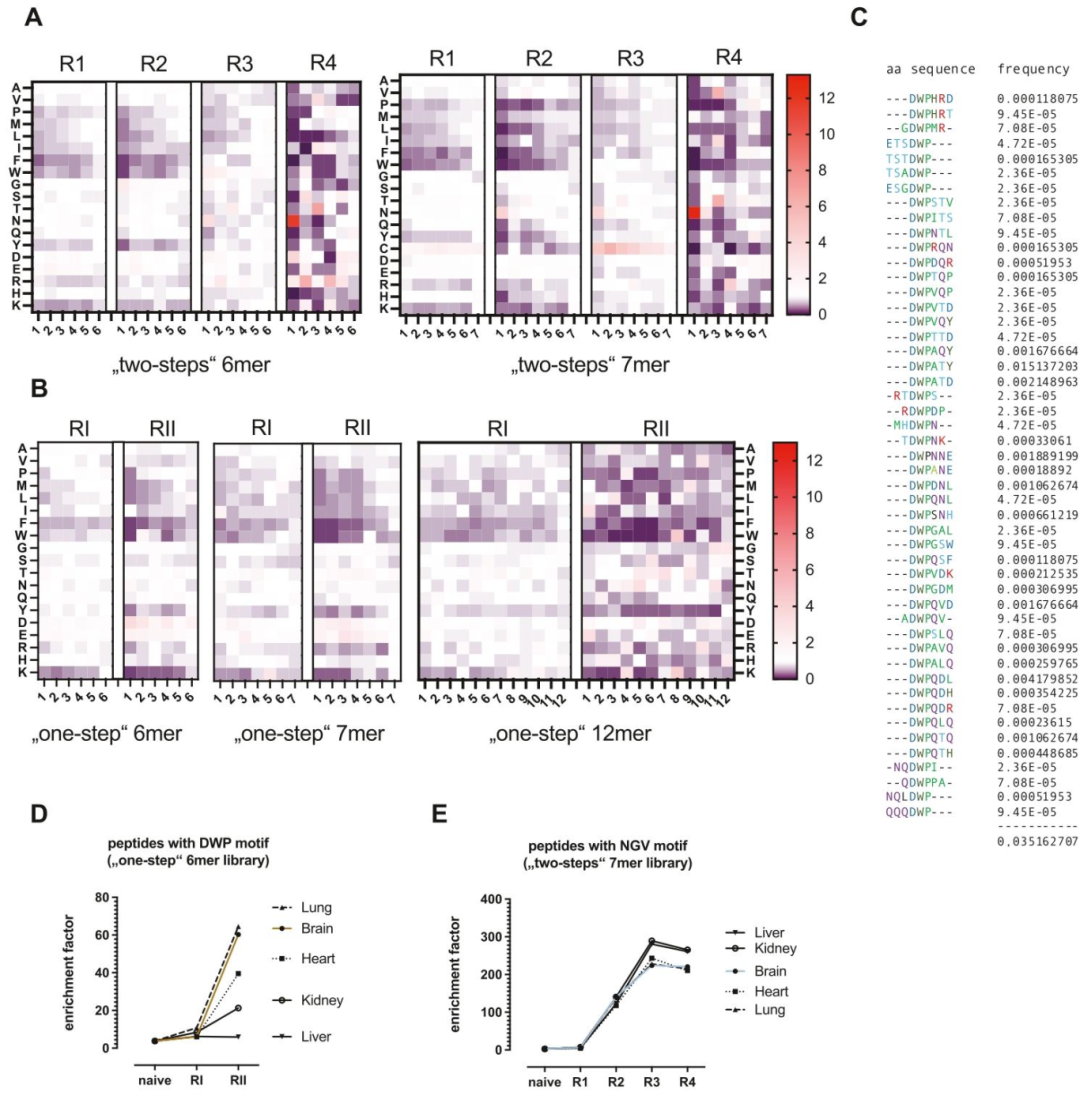 图4:氨基酸基序富集与 “DWP” 基序的器官特异性