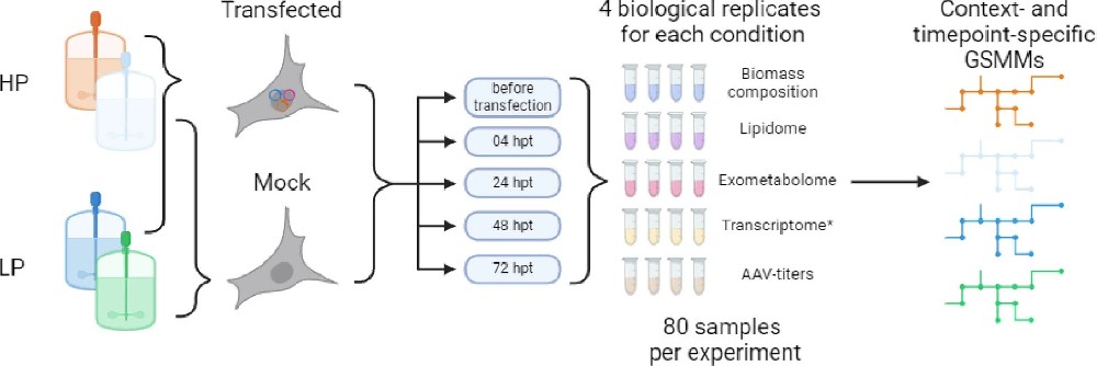 图 1：实验方法概览