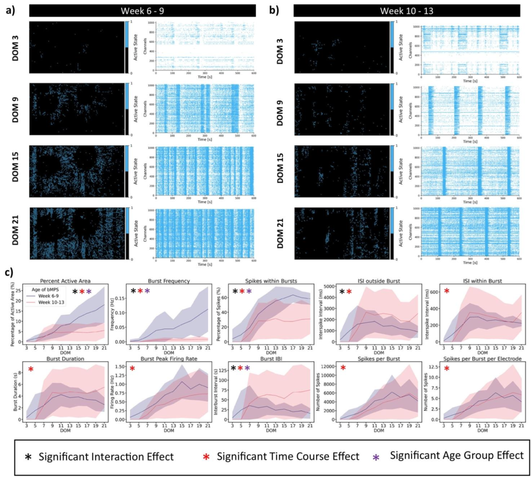 图 4:HD-MEA 记录的电活动差异