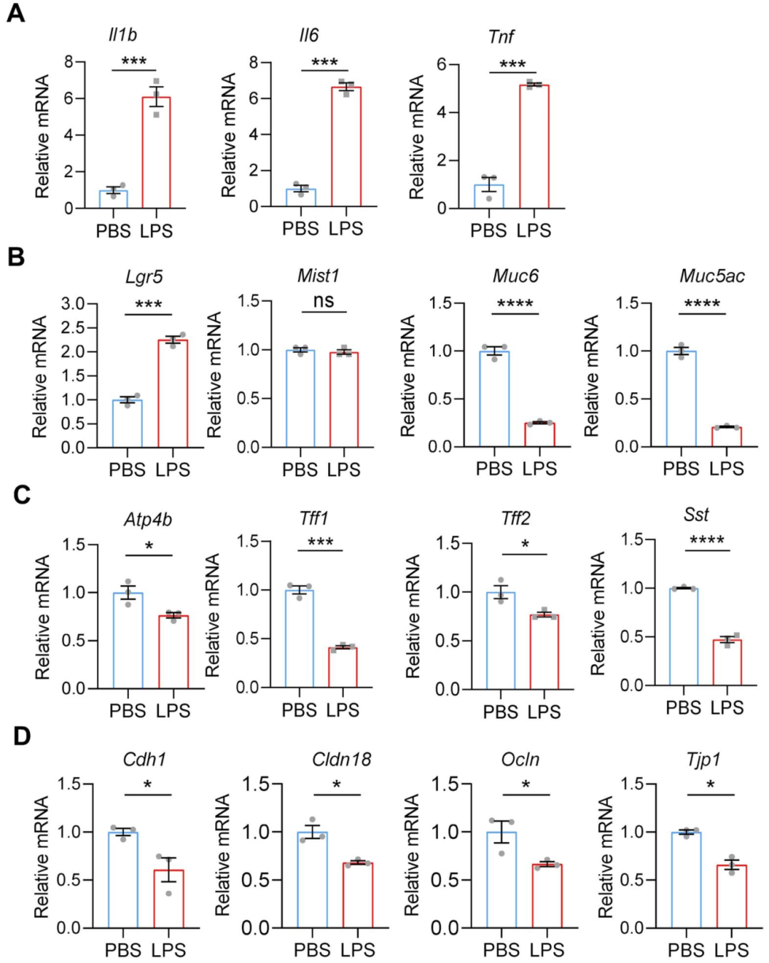 图 4：高浓度 LPS 对炎症基因和腺体细胞基因表达的影响