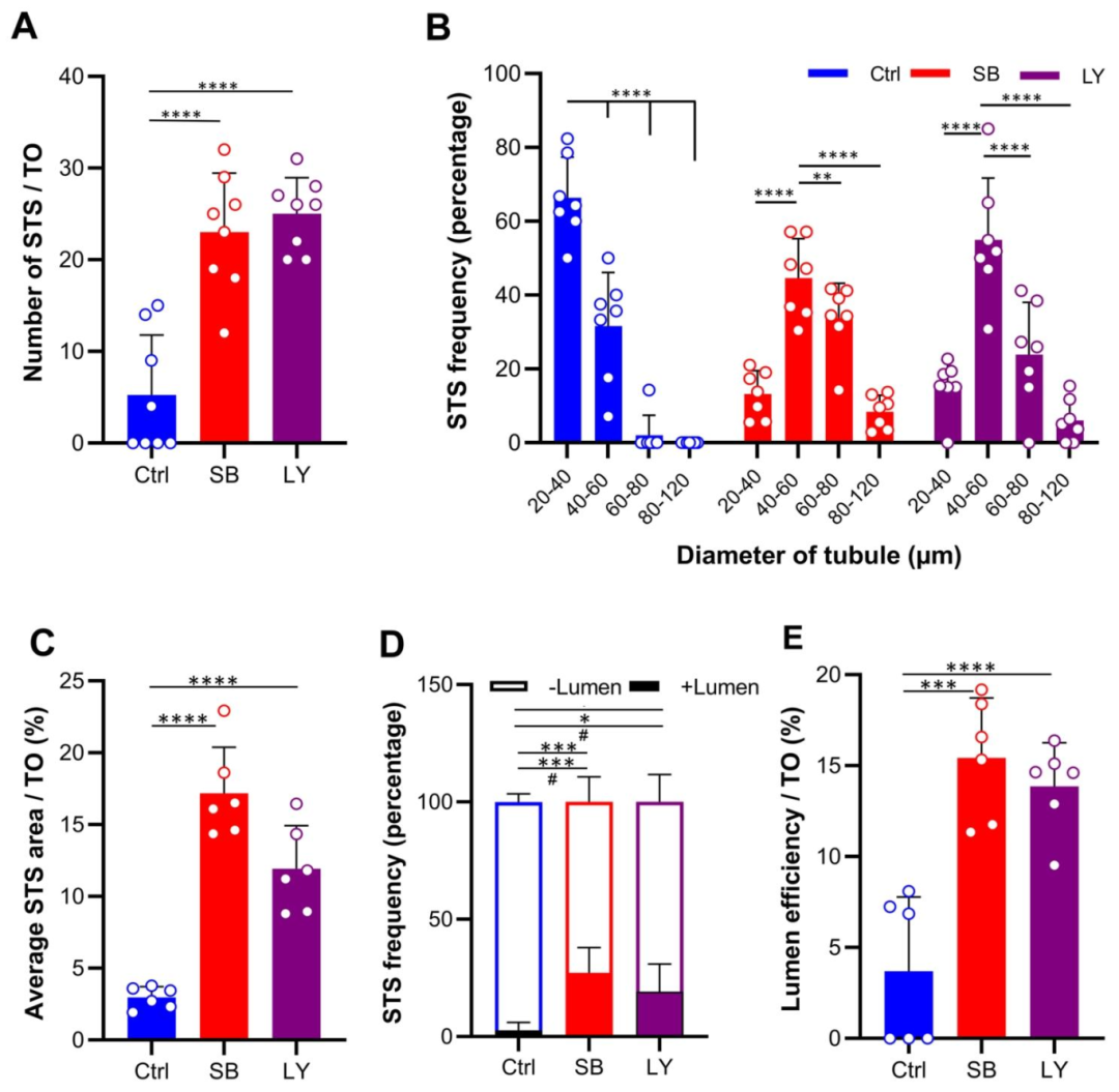 图 3：STSs 的定量形态分析