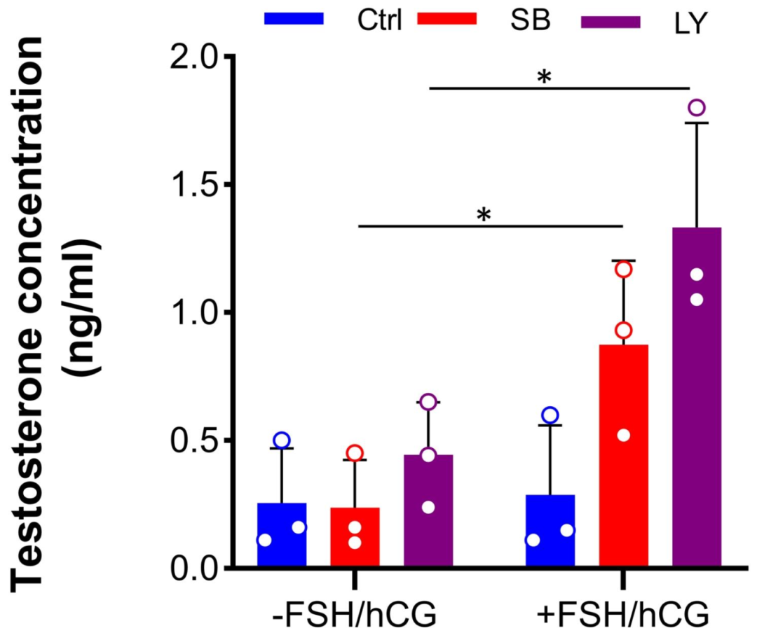 图 7：类器官的类固醇生成活性