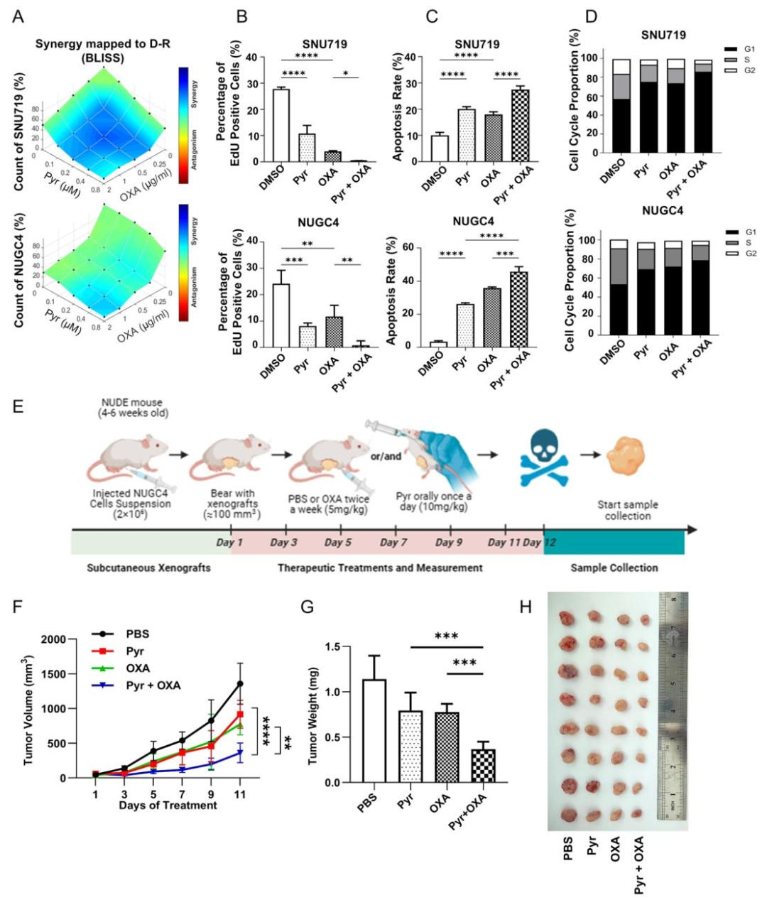 图2:吡咯替尼与奥沙利铂的协同抗瘤作用