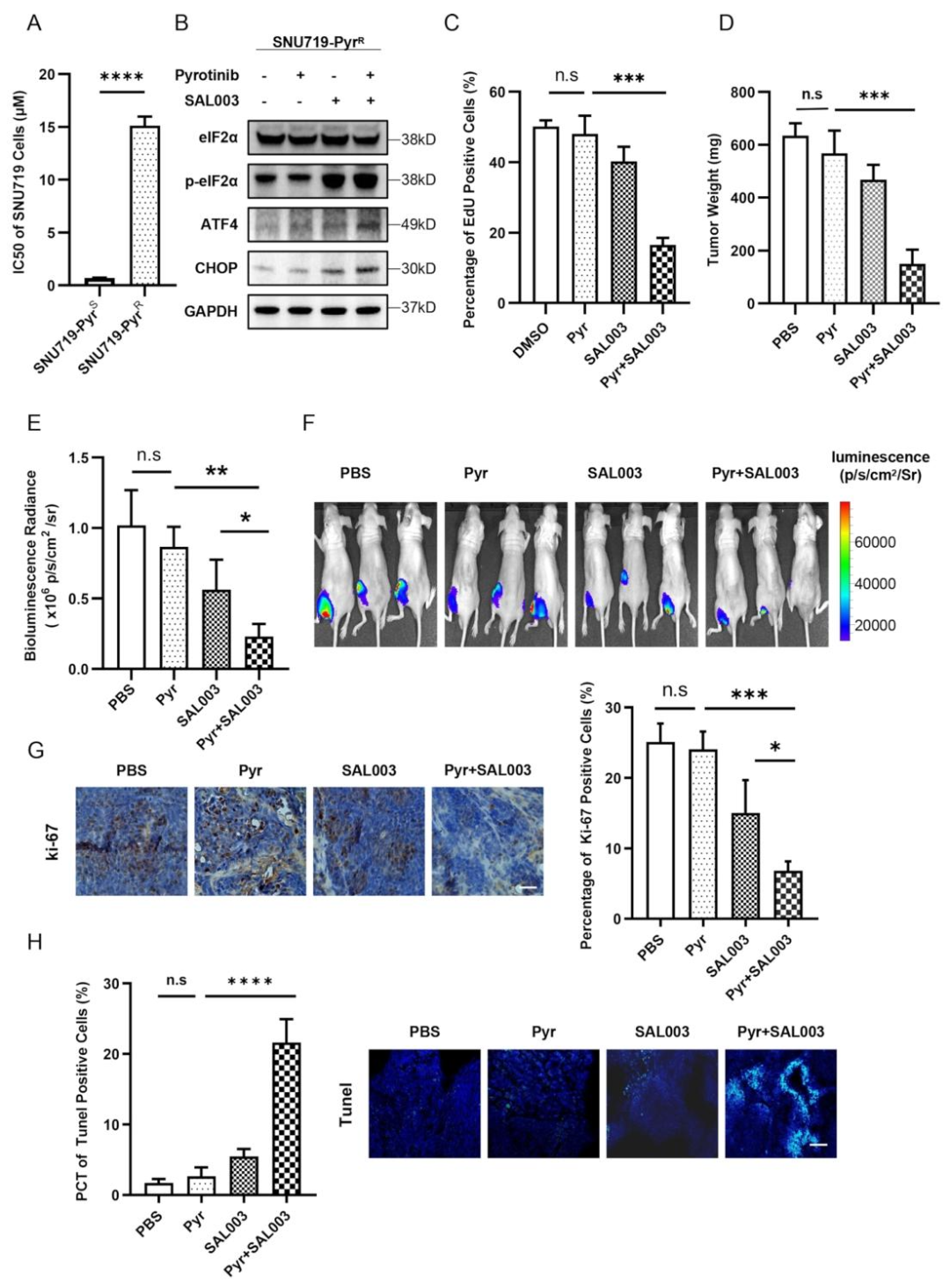 图4:eIF2α 磷酸酶抑制剂逆转吡咯替尼耐药