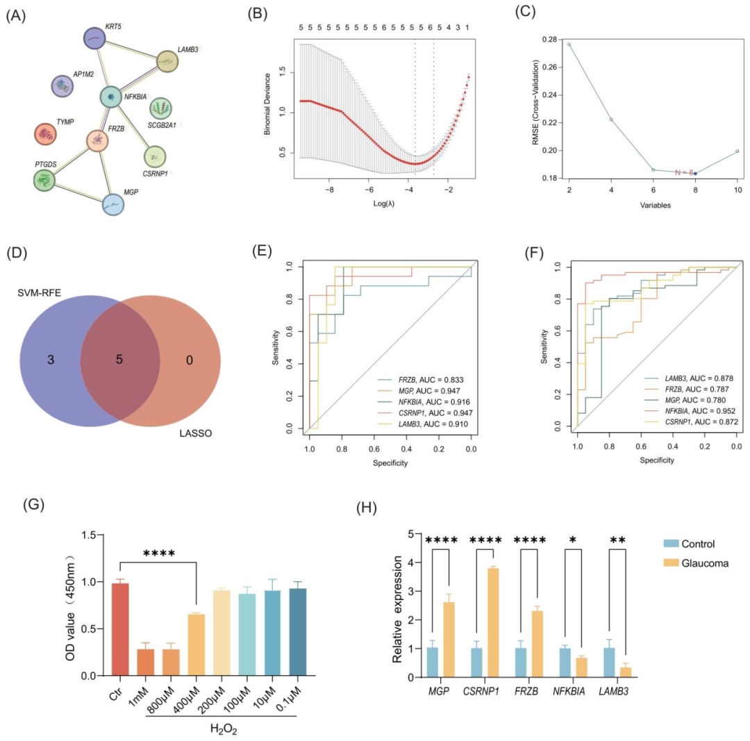 图3：生物标志物筛选与 RT-qPCR 验证