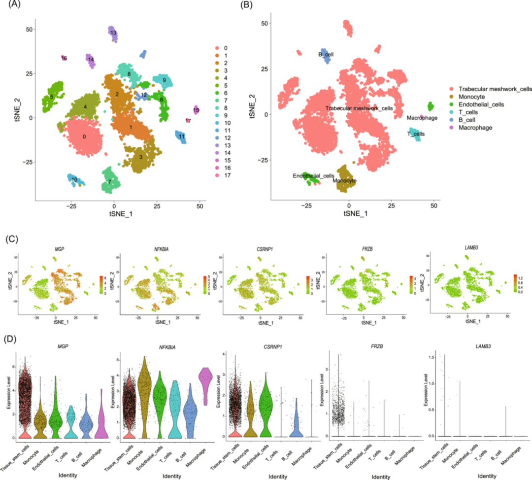 图6：单细胞水平标志物分布