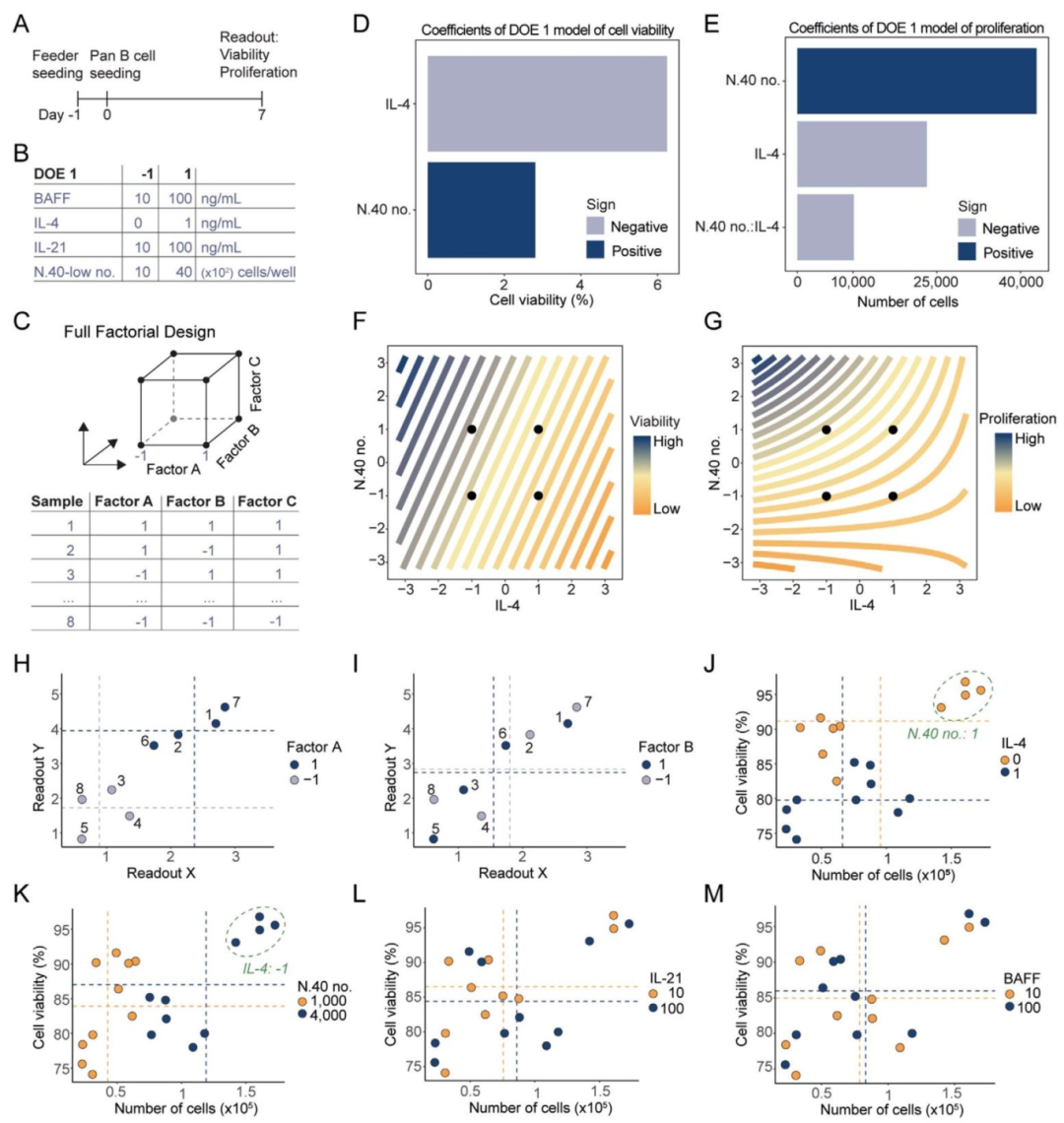 图2:IL-4 和 CD40L 对 B 细胞活力与增殖的调控(DOE1)