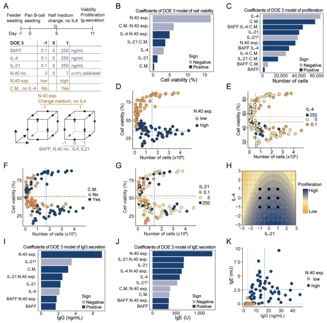 图4:Box-Behnken 设计优化抗体分泌(DOE3)