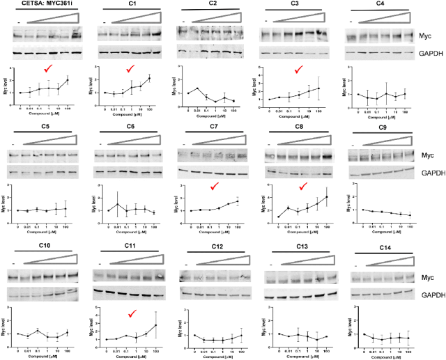 图 2:CETSA 分析化合物与 Myc 的结合能力图