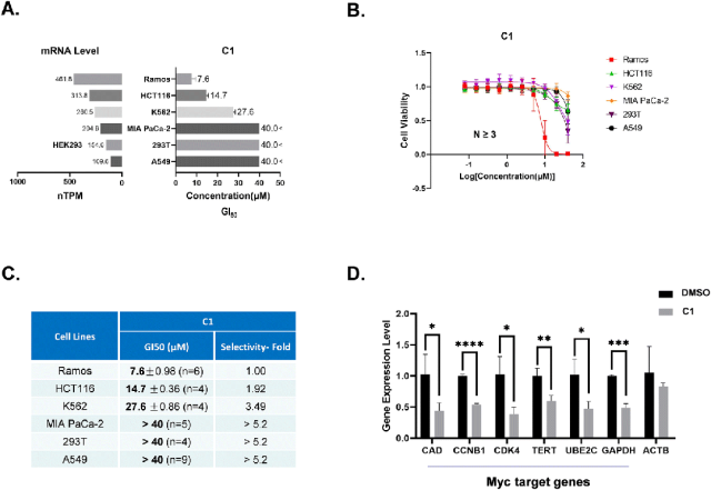 图 4:C1 对高 Myc 表达癌细胞的选择性杀伤及靶基因调控图