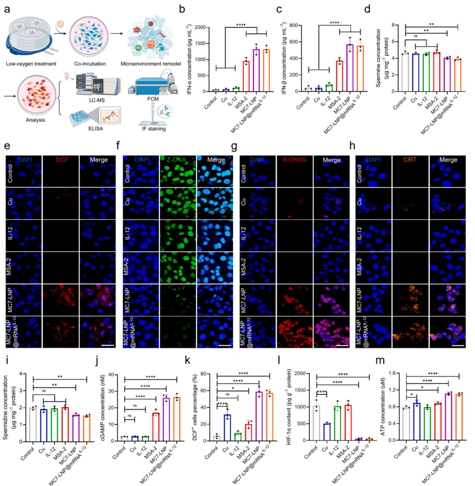 图4. MC7-LNP对免疫抑制性TME的重构
