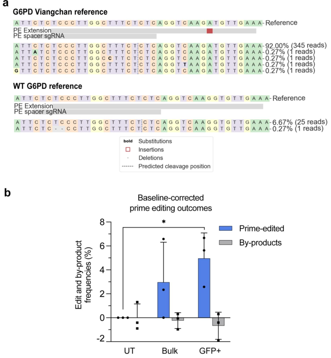 图 3：iPSC 中 Viangchan 突变的 PE3 介导纠正