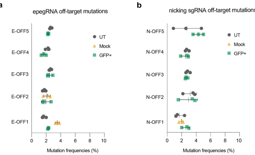 图 3：iPSC 中 Viangchan 突变的 PE3 介导纠正