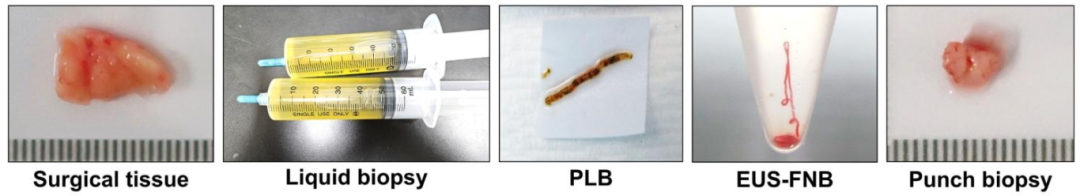 图 10:多模态标本的实物与 PDO 对应