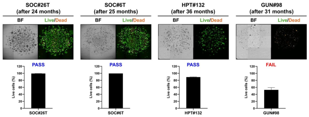 图 13:冻存 PDO 的复苏质量控制