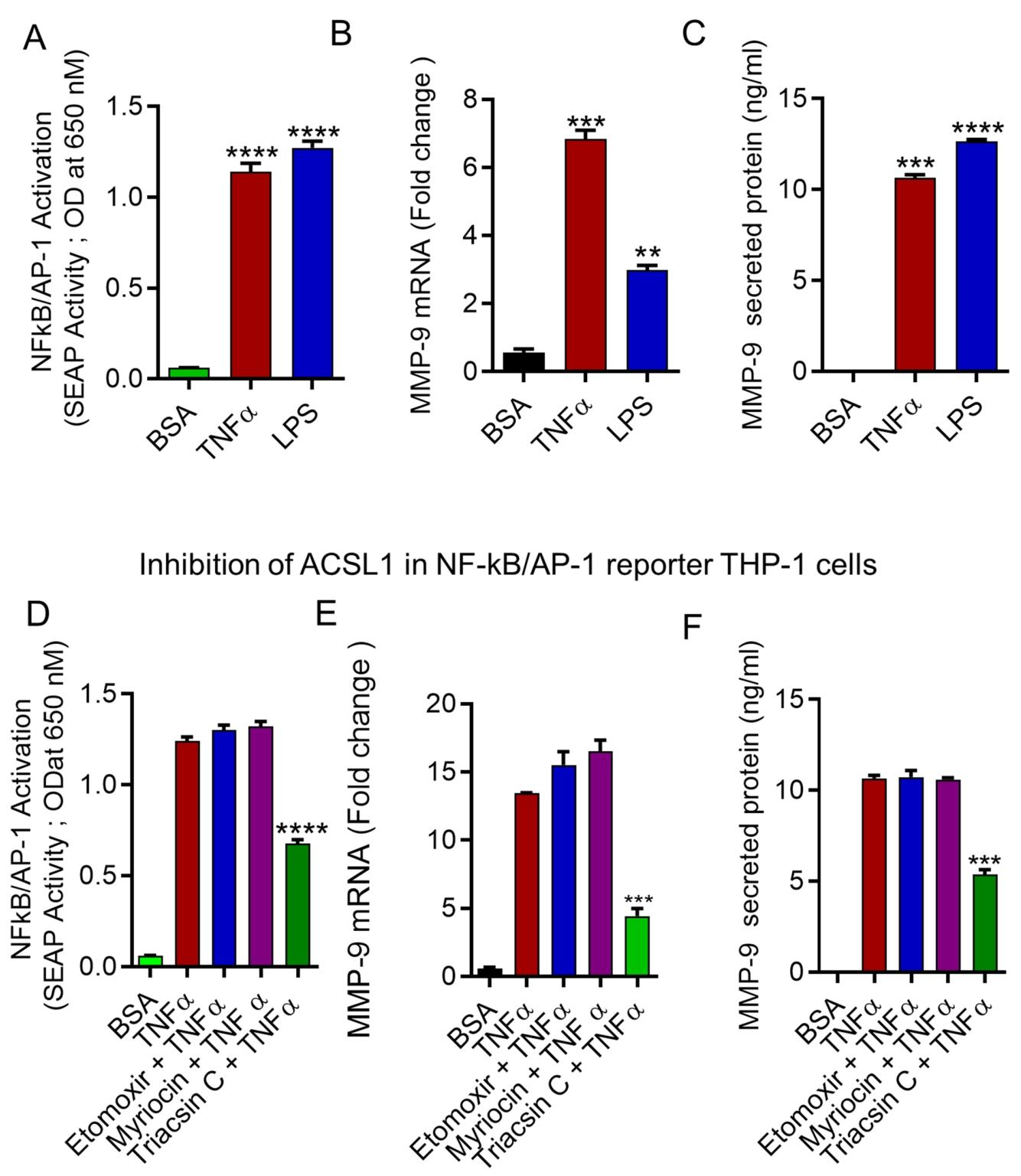 图 5:ACSL1 抑制减少 TNFα 诱导的 NF-κB/AP-1 激活