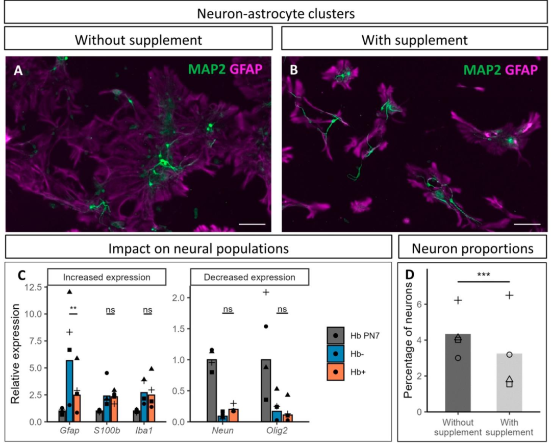 图5:CultureOne™对细胞群体的影响