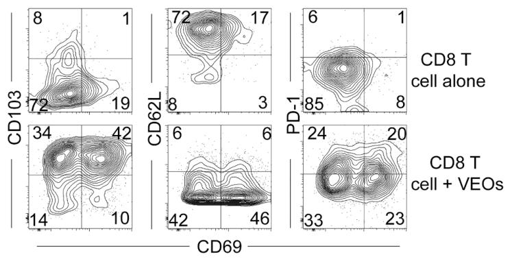 图 4：共培养诱导 TRM 表型的流式分析结果
