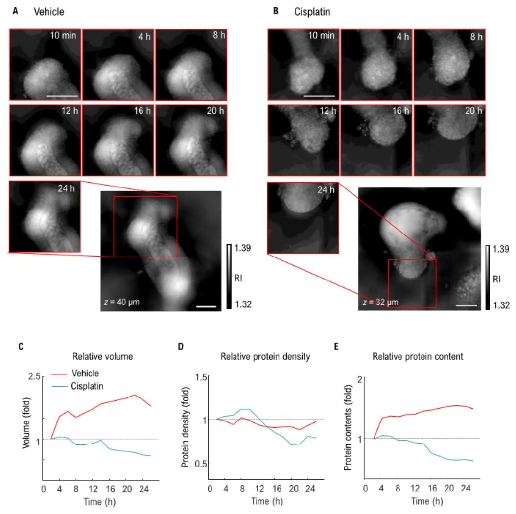 图 4：24 小时长期动态监测与定量