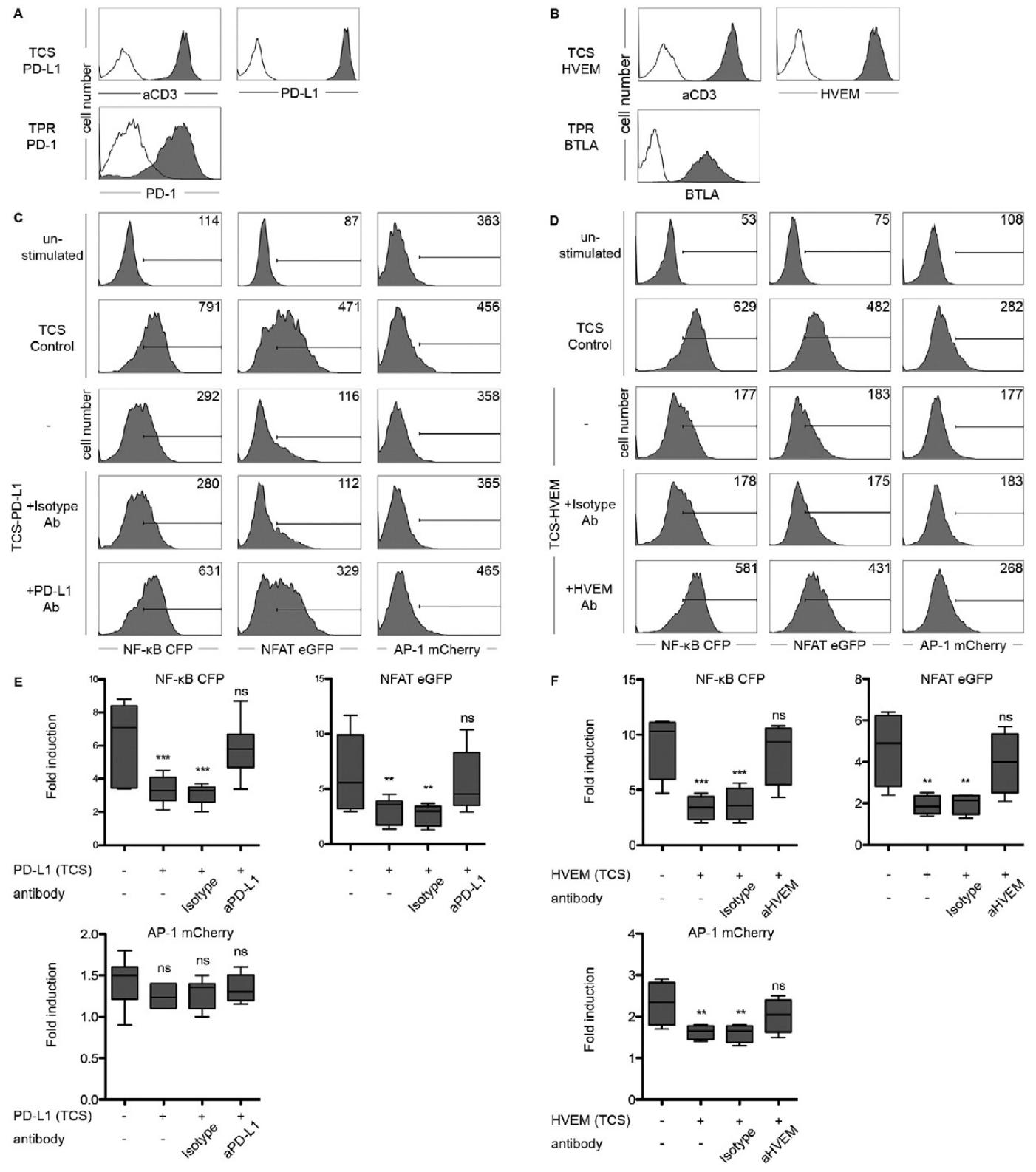 图7：PD-1 和 BTLA 共抑制对转录因子活性的影响