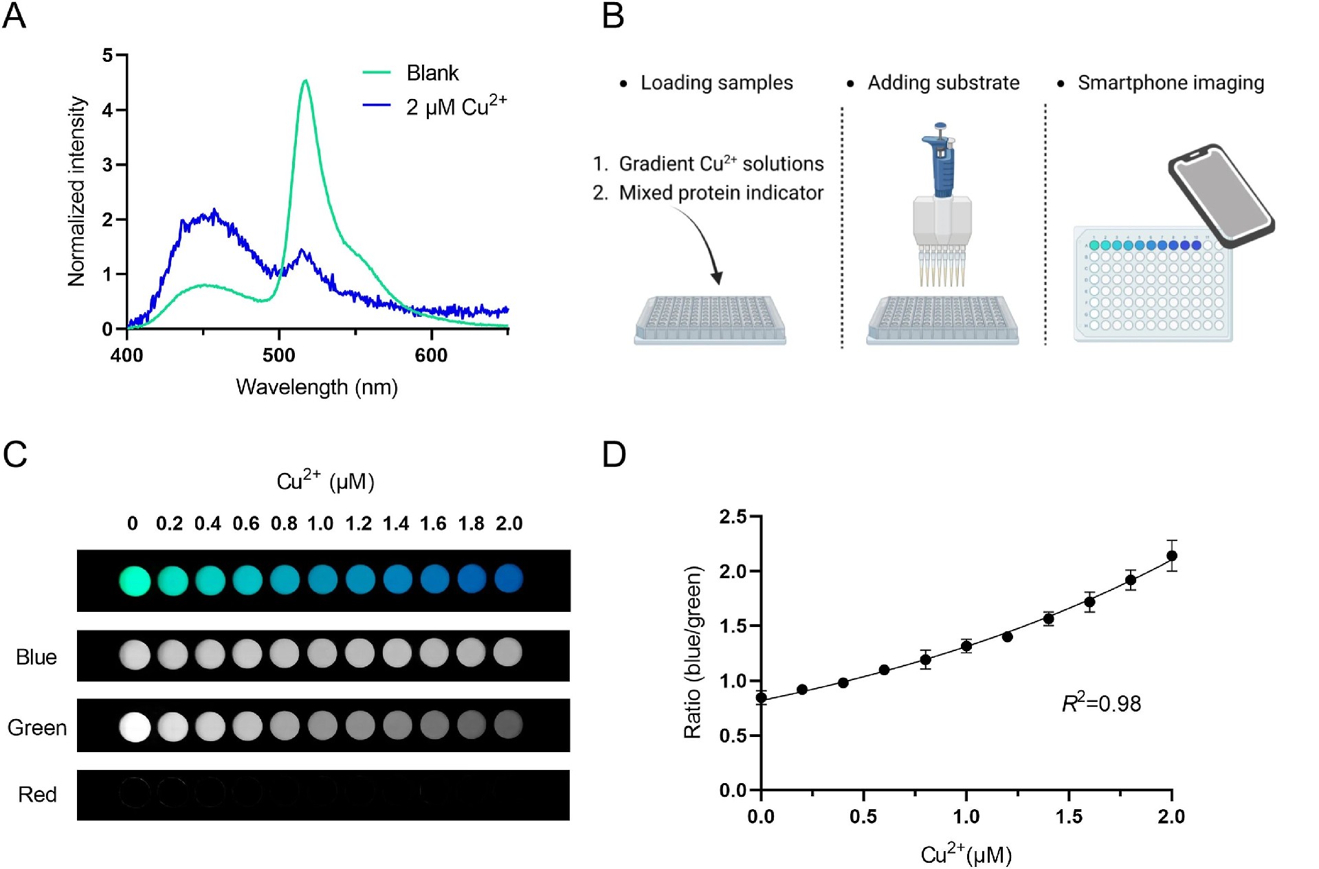 图3：智能手机相机介导的 Cu²⁺比率型检测
