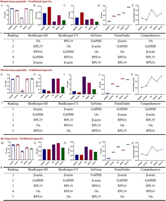 图 4:传统香烟暴露下管家基因稳定性