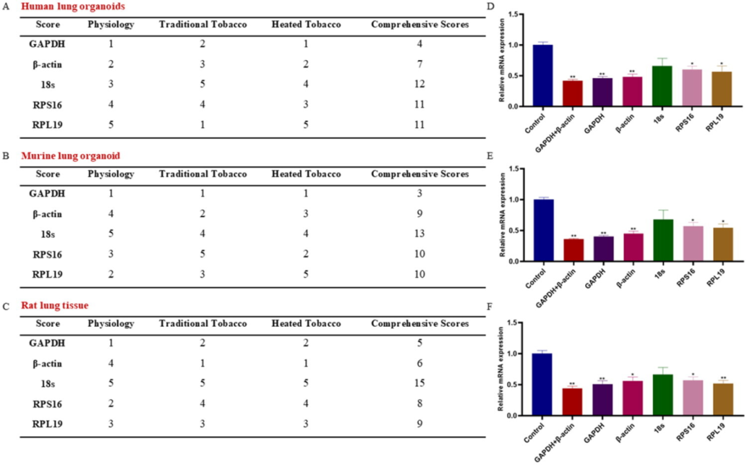 图 6:组合内参筛选与 SOX2 验证