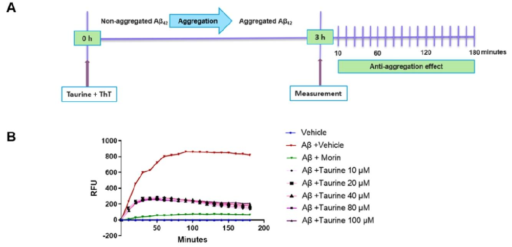 图 1：牛磺酸抑制 Aβ₄₂聚集(ThT 荧光实验)