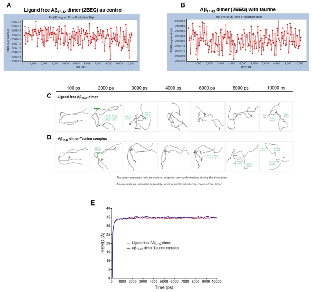 图 4：牛磺酸促进 Aβ 二聚体解离(分子动力学模拟)
