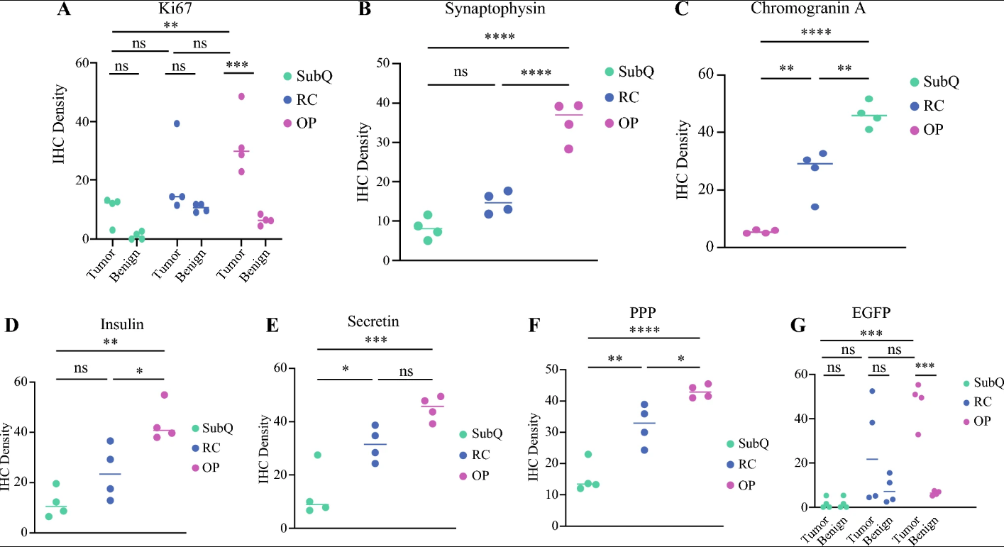 图4:不同肿瘤模型间免疫组化(IHC)标志物密度比较