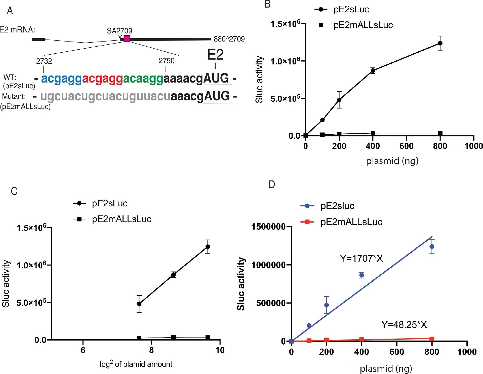 图3：pE2sLuc 报告质粒的 sLuc 活性依赖 SA2709 下游剪接增强子