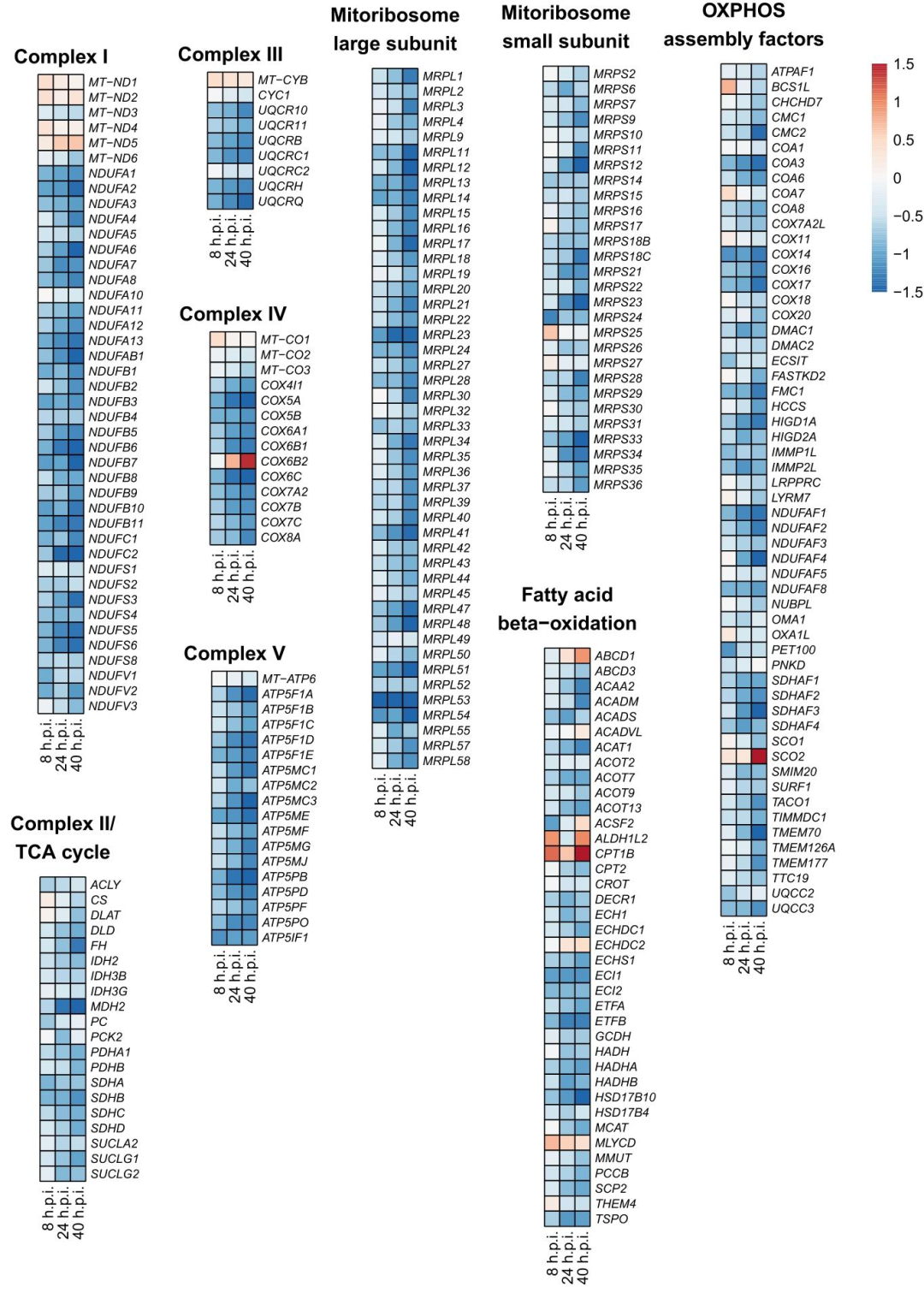 图5:代谢基因热图